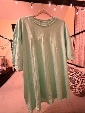 Punz Men's Crewneck T-Shirt in Mint Green
